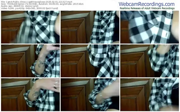 cam4-gattinevogliose-02-01-2025-22-13-27