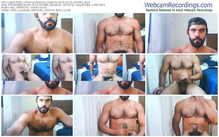 cam4-moreno_gigante-02-01-2025-20-26-41
