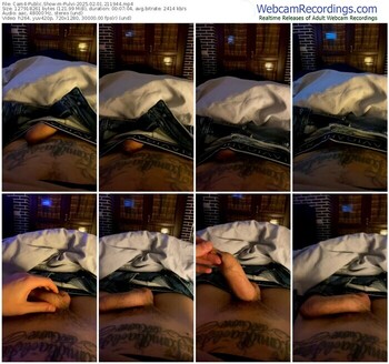 cam4-pulvi-02-01-2025-21-19-44