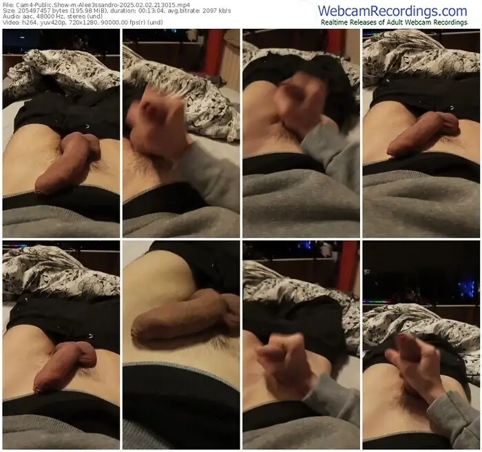 cam4-alee3ssandro-02-02-2025-21-30-15