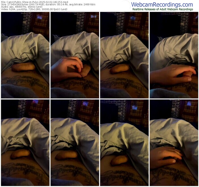 cam4-pulvi-02-02-2025-18-11-53