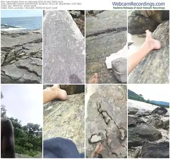 cam4-gatonota-02-03-2025-17-09-01