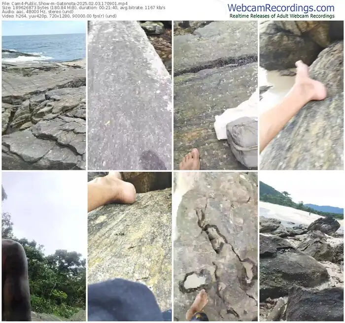 cam4-gatonota-02-03-2025-17-09-01