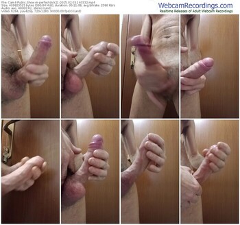 cam4-perfectdick21-02-03-2025-14-03-32