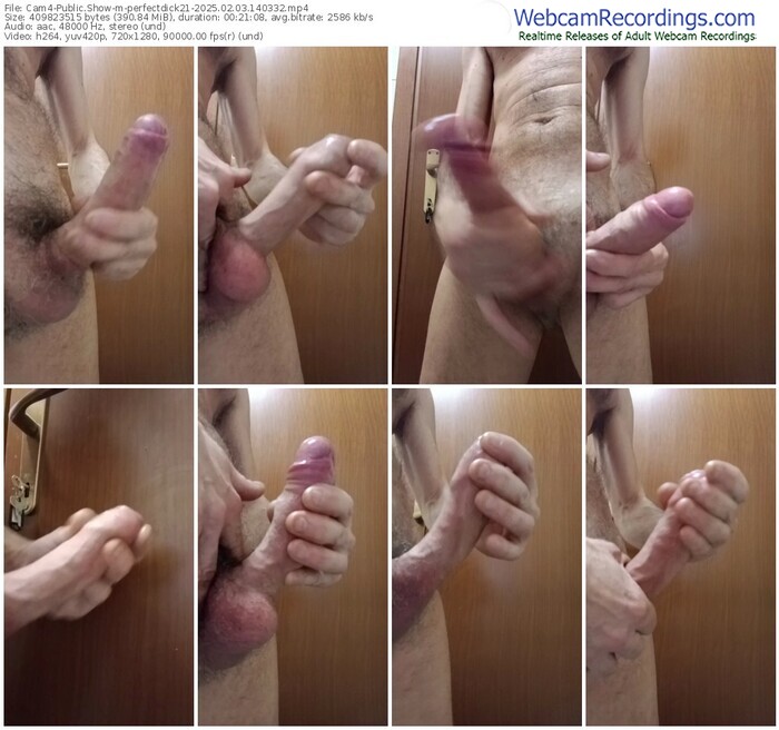 cam4-perfectdick21-02-03-2025-14-03-32