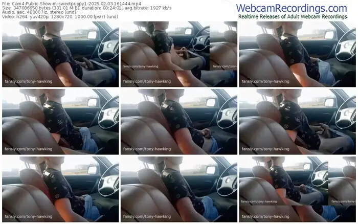 cam4-sweetpuppy1-02-03-2025-16-14-44