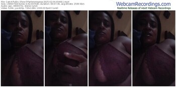 cam4-panteranegraa-02-04-2025-03-49-11