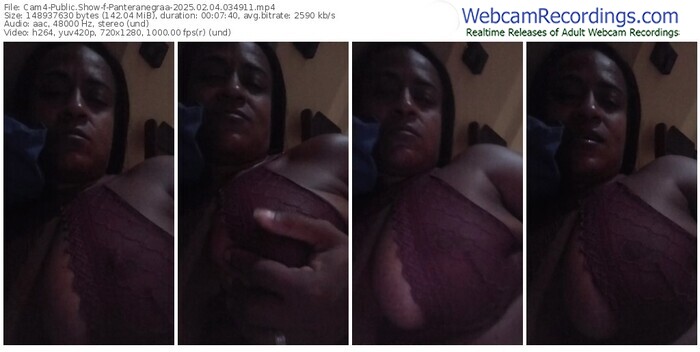 cam4-panteranegraa-02-04-2025-03-49-11