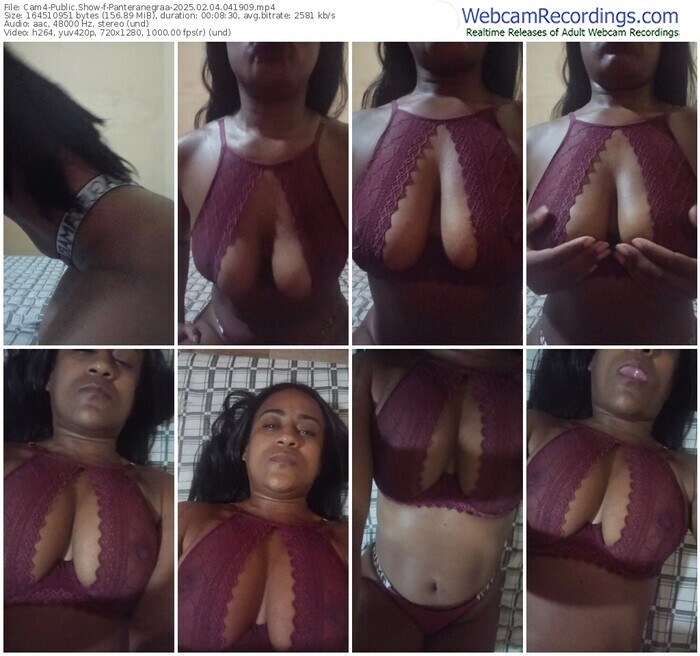 cam4-panteranegraa-02-04-2025-04-19-09