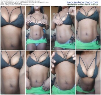 cam4-panteranegraa-02-04-2025-19-50-21