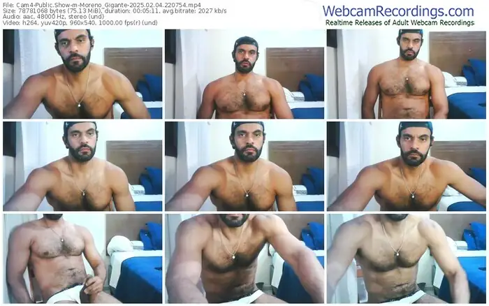cam4-moreno_gigante-02-04-2025-22-07-54