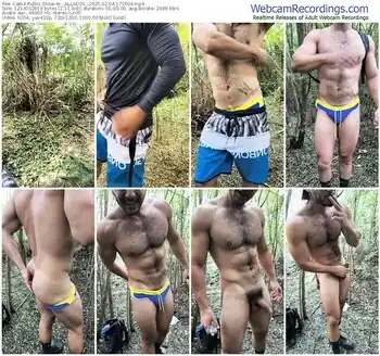 cam4-_alladyn_-02-04-2025-17-15-04