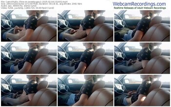 cam4-sweetpuppy1-02-04-2025-15-16-02