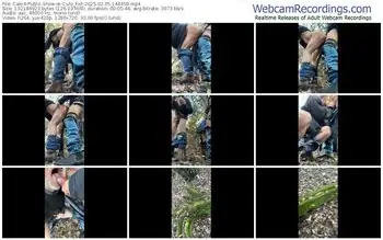 cam4-culo_fist-02-05-2025-14-44-59