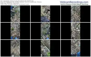 cam4-culo_fist-02-05-2025-14-54-36