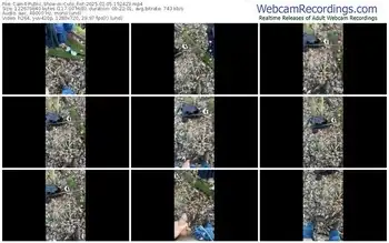 cam4-culo_fist-02-05-2025-15-24-23