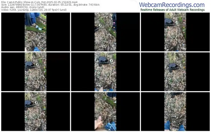 cam4-culo_fist-02-05-2025-15-24-23