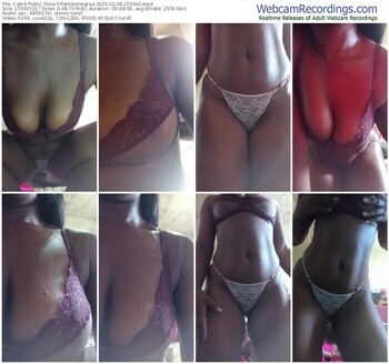 cam4-panteranegraa-02-08-2025-15-56-42