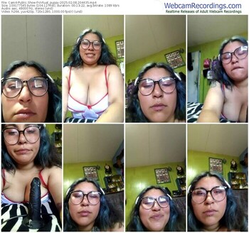 cam4-virtual_puppy-02-08-2025-20-44-35