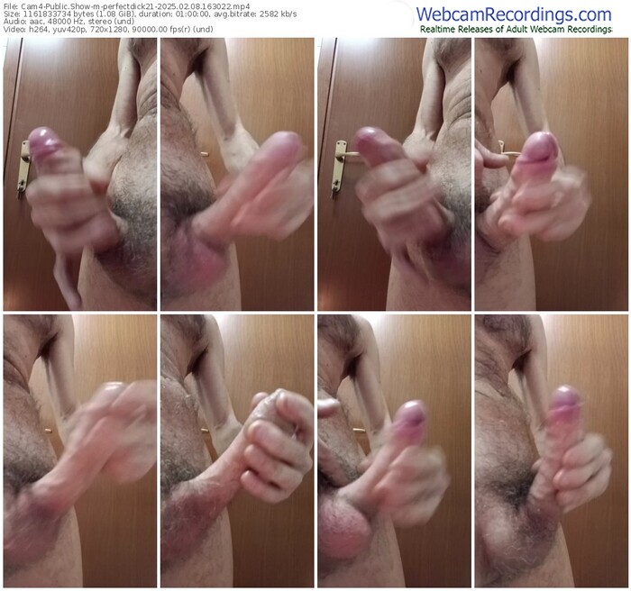 cam4-perfectdick21-02-08-2025-16-30-22