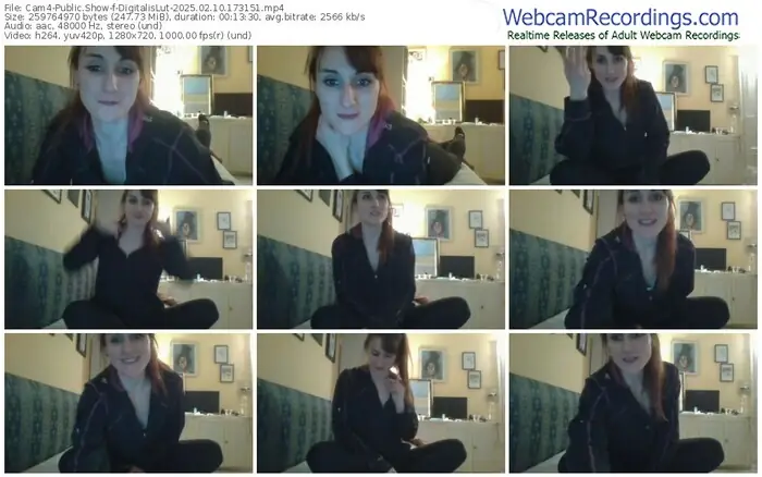 cam4-digitalislut-02-10-2025-17-31-51