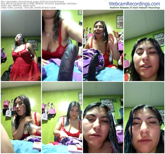 cam4-virtual_puppy-02-10-2025-01-06-20