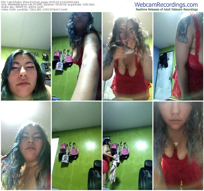 cam4-virtual_puppy-02-10-2025-02-20-06