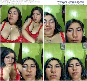 cam4-virtual_puppy-02-10-2025-04-32-08