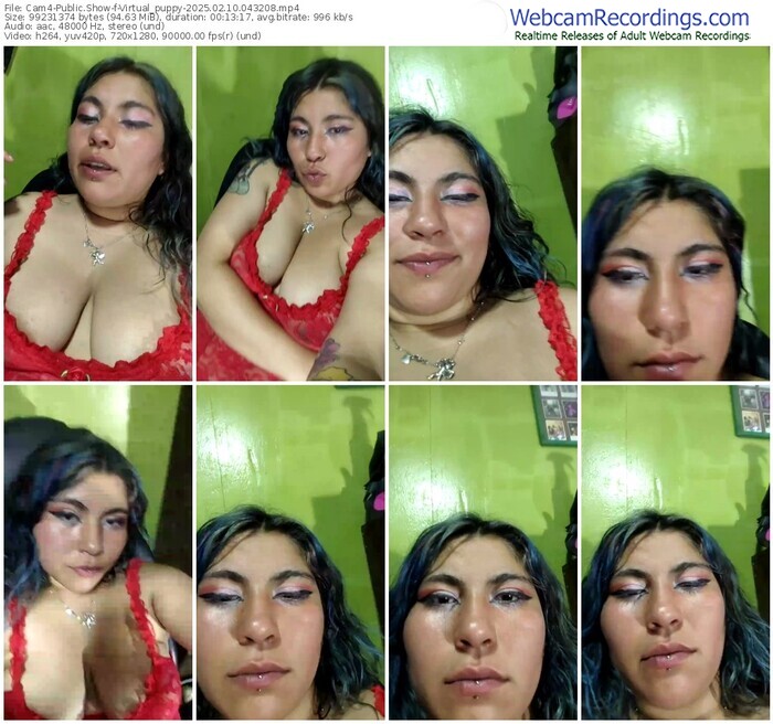 cam4-virtual_puppy-02-10-2025-04-32-08