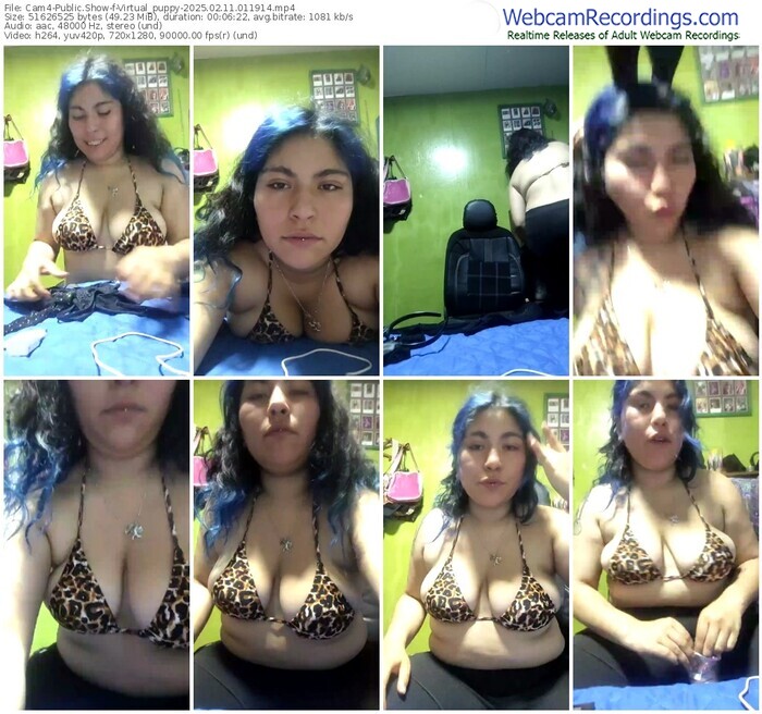 cam4-virtual_puppy-02-11-2025-01-19-14