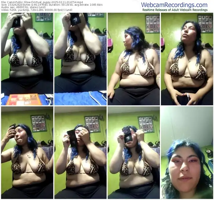 cam4-virtual_puppy-02-11-2025-01-47-54