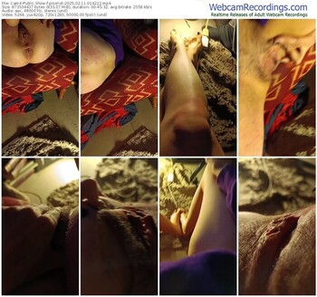 cam4-pissriot-02-11-2025-01-42-22