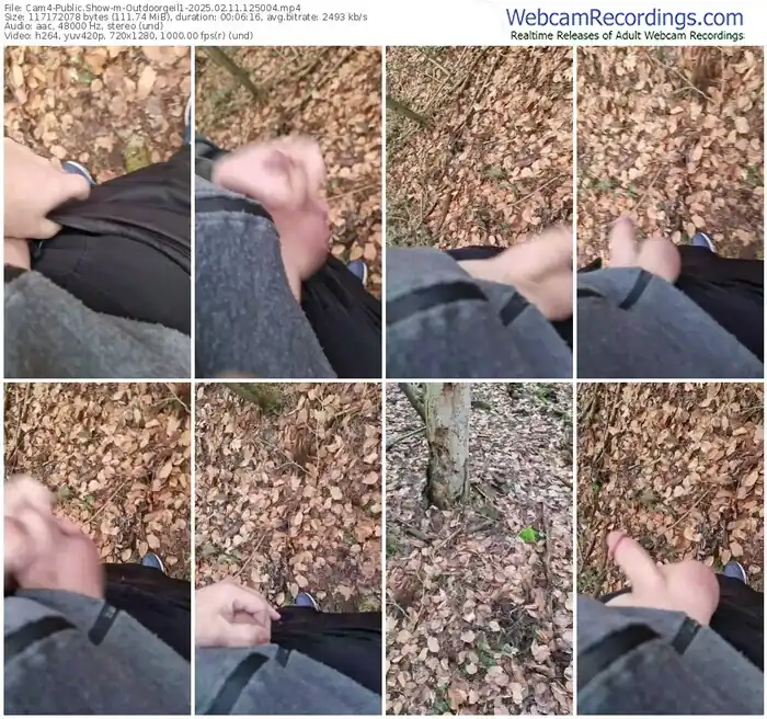 cam4-outdoorgeil1-02-11-2025-12-50-04