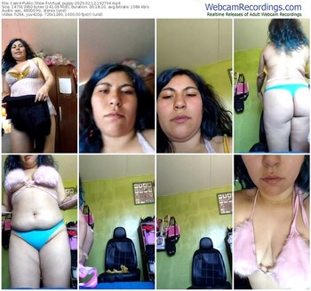 cam4-virtual_puppy-02-12-2025-19-27-04