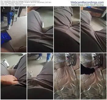 cam4-chavbear-02-12-2025-13-20-34