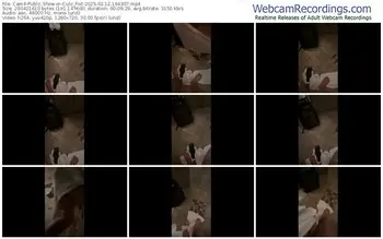 cam4-culo_fist-02-12-2025-16-43-07