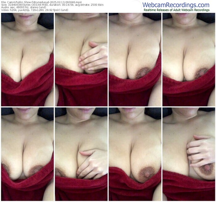 cam4-brunedusud-02-13-2025-09-06-46