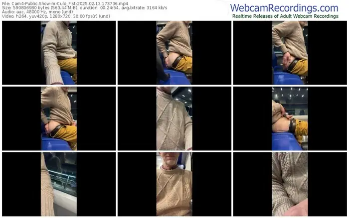 cam4-culo_fist-02-13-2025-17-37-36