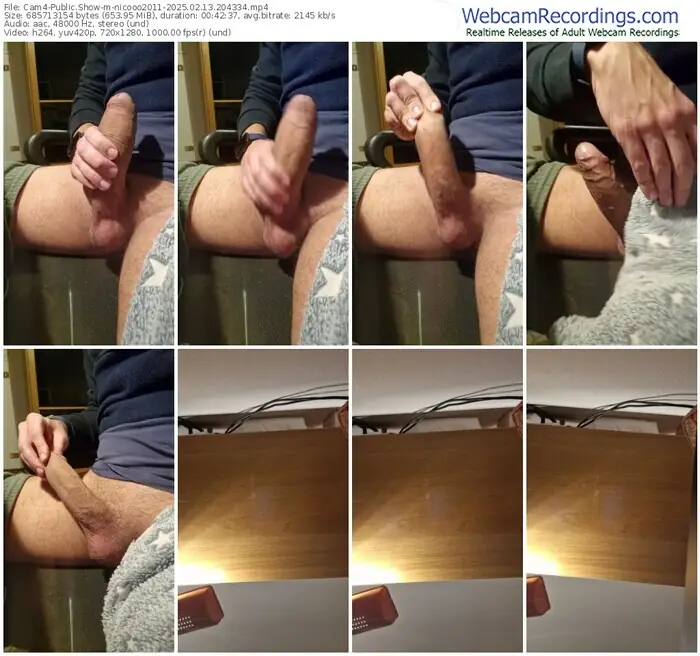 cam4-nicooo2011-02-13-2025-20-43-34