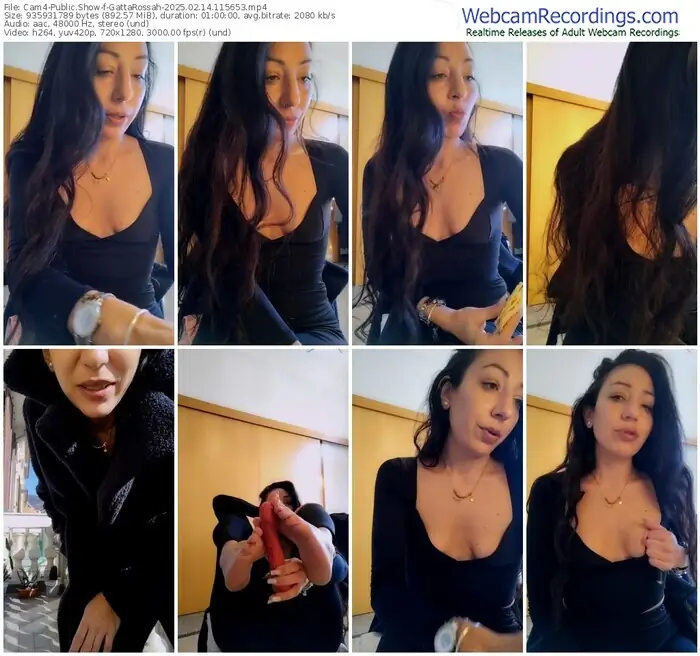 cam4-gattarossah-02-14-2025-11-56-53