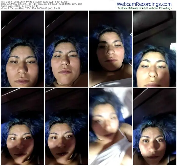 cam4-virtual_puppy-02-14-2025-03-54-23