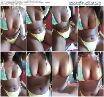 cam4-panteranegraa-02-15-2025-12-58-20