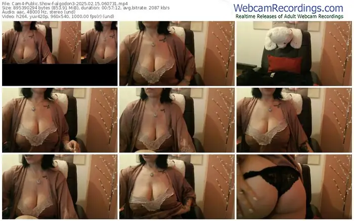 cam4-algodon3-02-15-2025-06-07-31