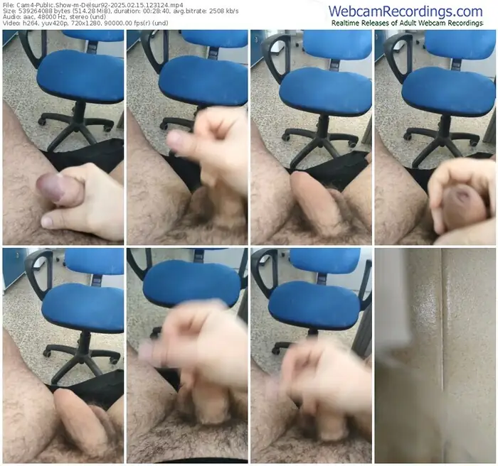 cam4-delsur92-02-15-2025-12-31-24