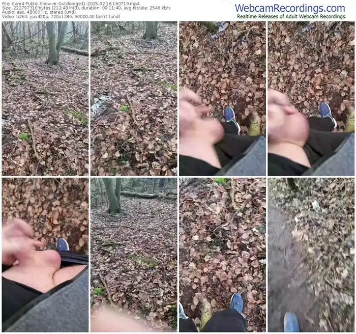 cam4-outdoorgeil1-02-16-2025-16-07-19
