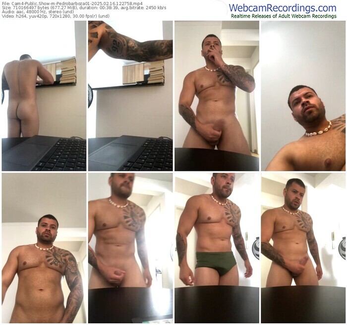 cam4-pedrobarboza01-02-16-2025-12-27-58
