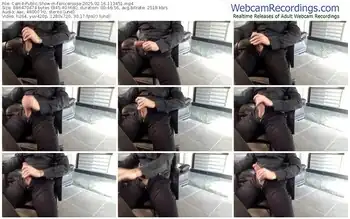 cam4-fenicerossa-02-16-2025-11-34-51