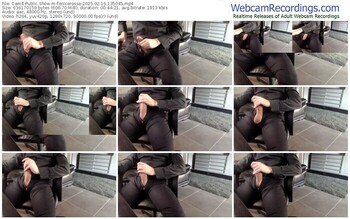 cam4-fenicerossa-02-16-2025-13-50-45