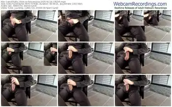 cam4-fenicerossa-02-16-2025-13-50-45