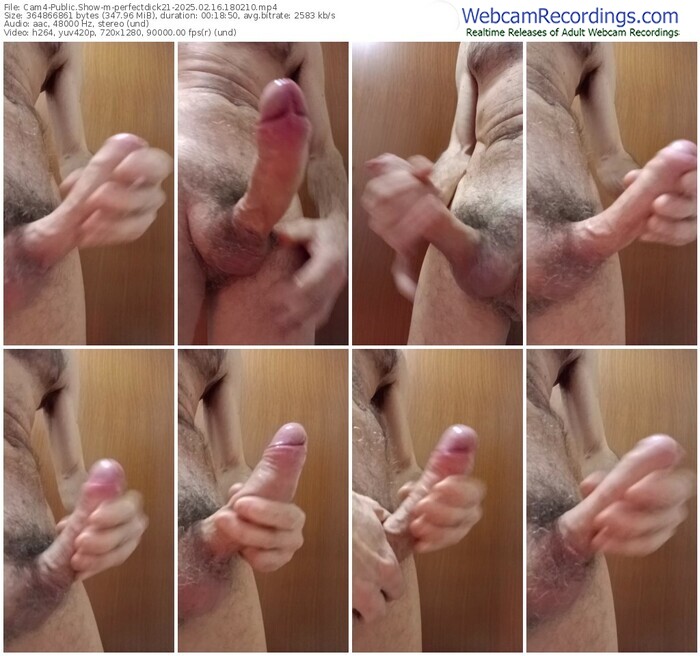 cam4-perfectdick21-02-16-2025-18-02-10